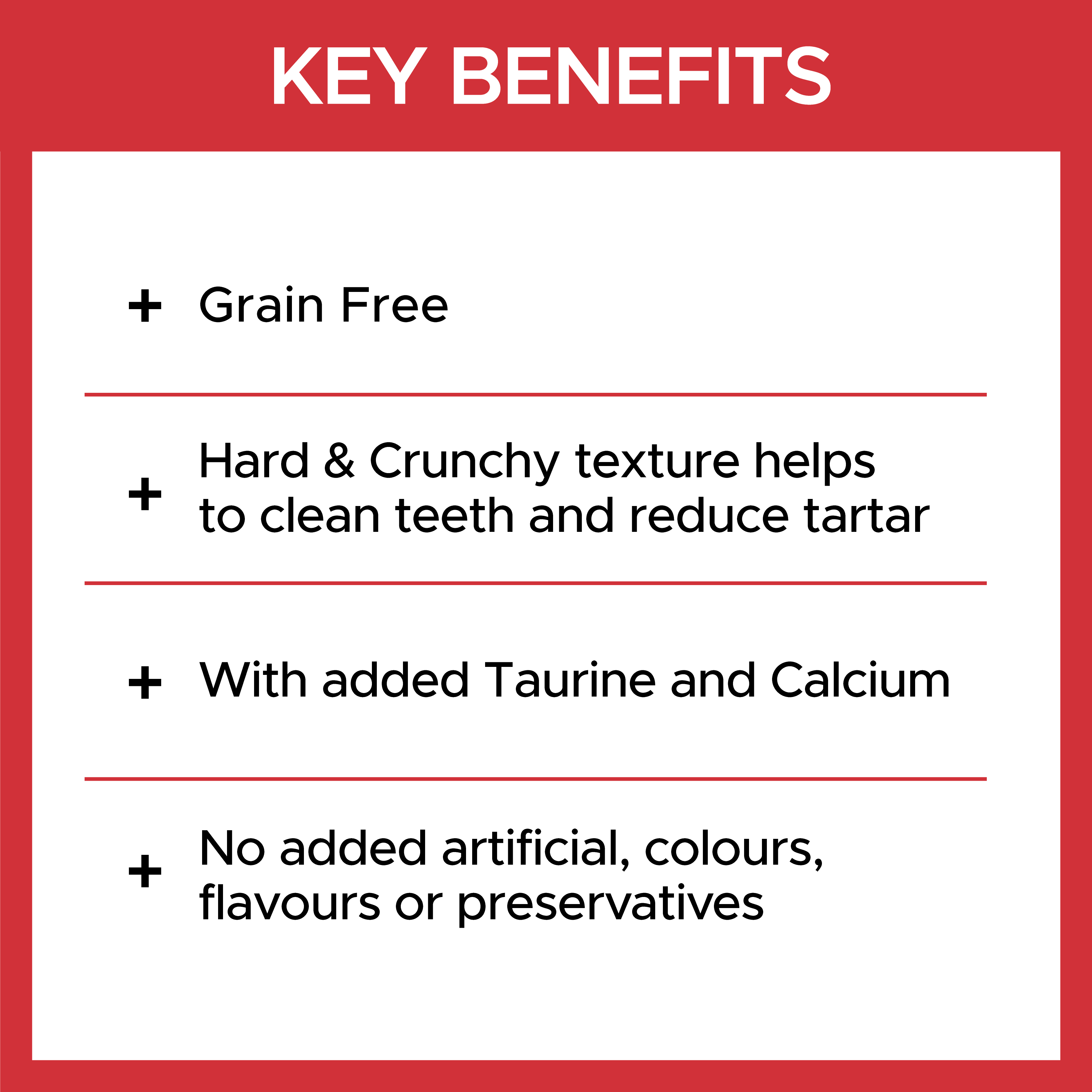 41 Cat Teeth Cleaning Cost Sydney Images