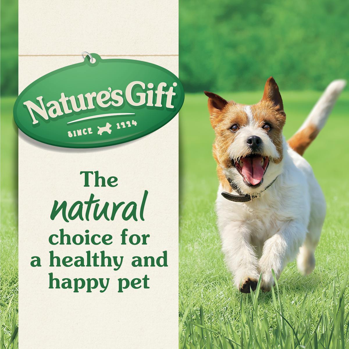 Nature’s Gift | Beef, Vegetable & Barley | Wet dog food | Top of pack