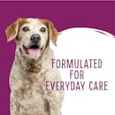 Love'em | Dental Care Daily Dental Sticks Medium - Large | Dog treats | Right of pack