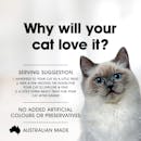 Fussy Cat | With Fish Treats 100g | Cat treats | Top of pack