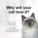 Fussy Cat | Tuna Treats 15g | Cat treats | Top of pack